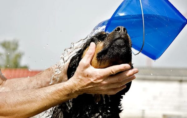 Peluquería y estética: cita previa