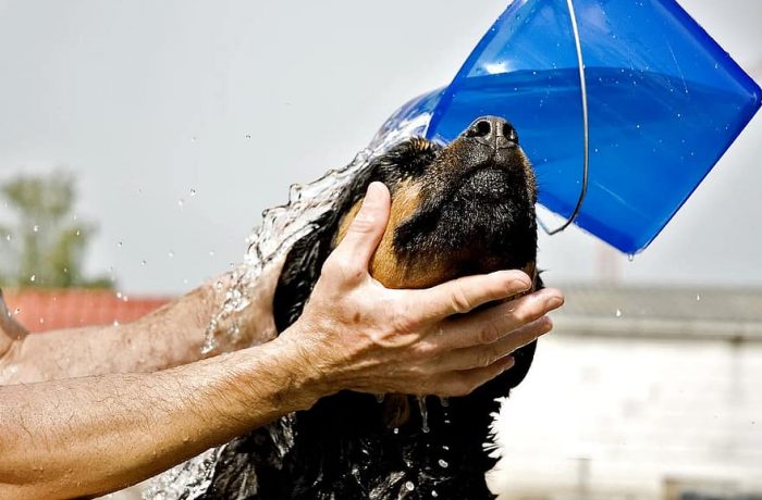 Peluquería y estética: cita previa